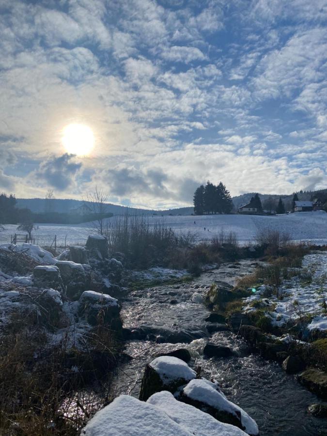 Gite Au Cours D'Eau Le Hohwald Eksteriør billede