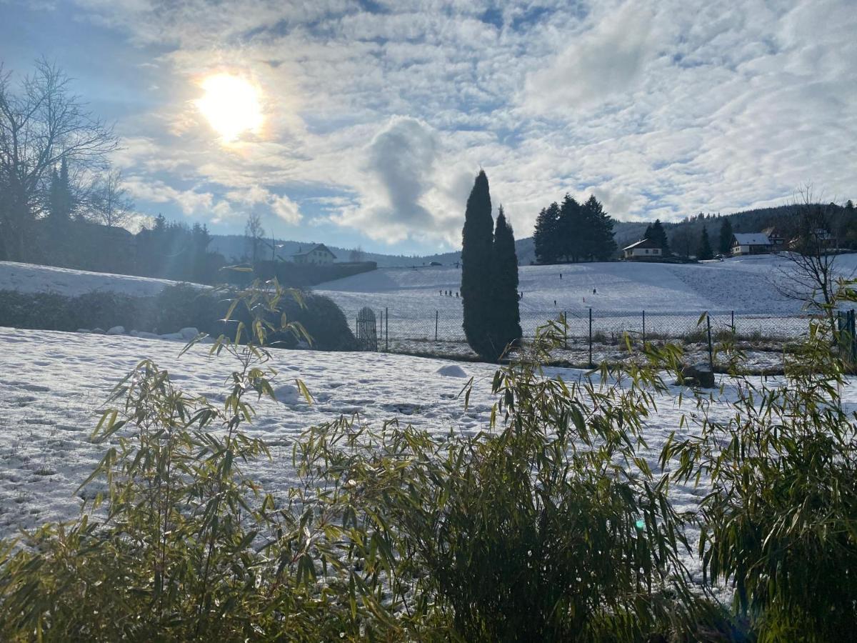 Gite Au Cours D'Eau Le Hohwald Eksteriør billede
