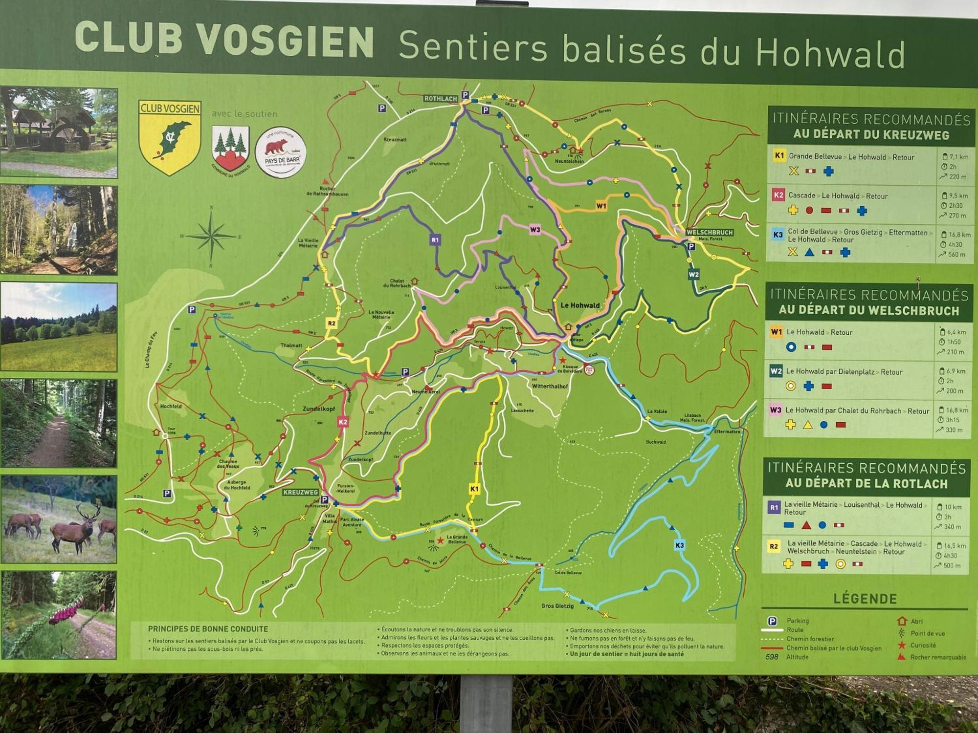 Gite Au Cours D'Eau Le Hohwald Eksteriør billede