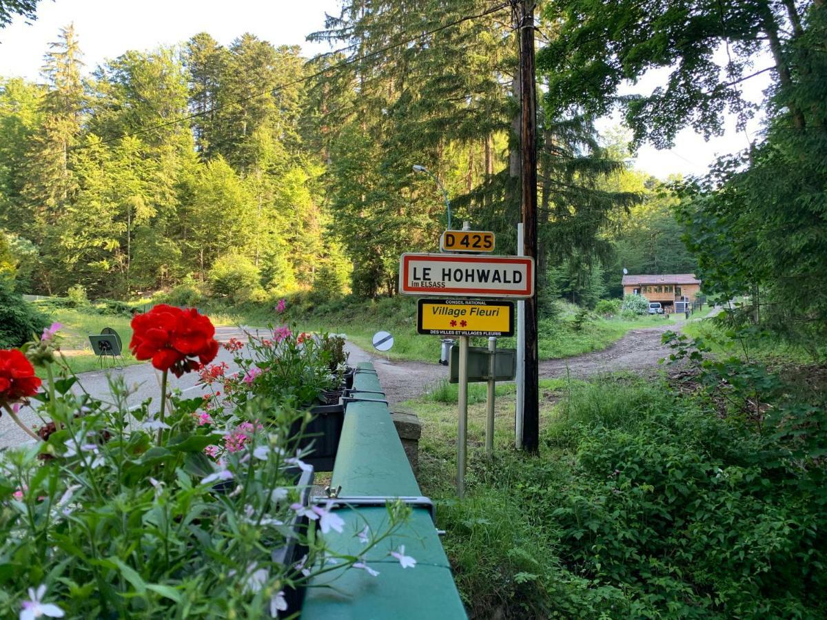Gite Au Cours D'Eau Le Hohwald Eksteriør billede